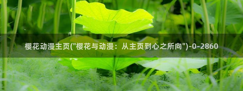 樱花动漫手机版