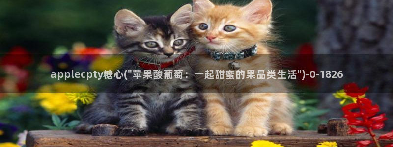 糖心短视频vlog下载