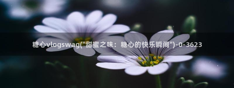 糖心网站vlog