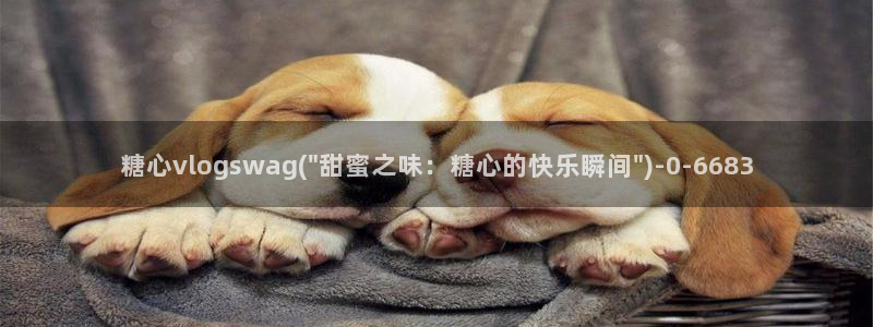 糖心vlog账号