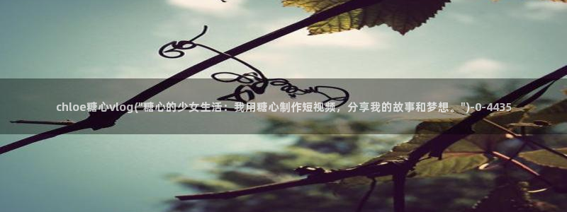 糖心vlog中国区