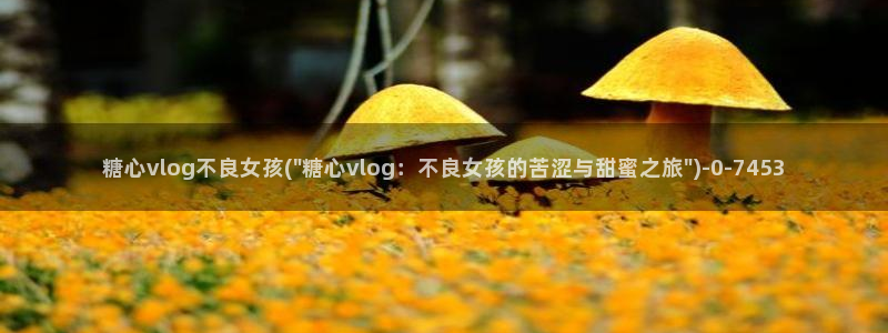 糖心的vlog