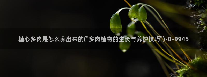 9糖心vlog