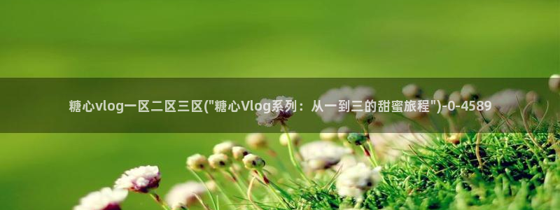 糖心vlog官网免费
