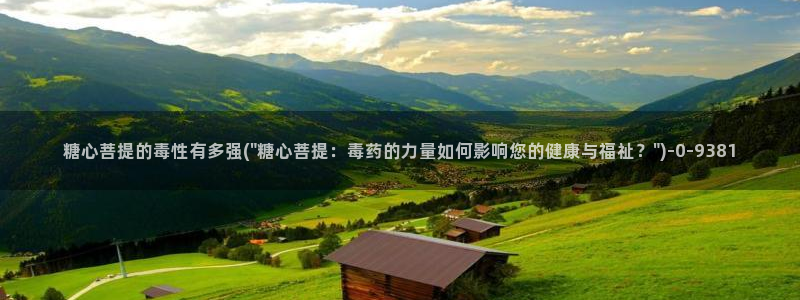糖心vlog中国